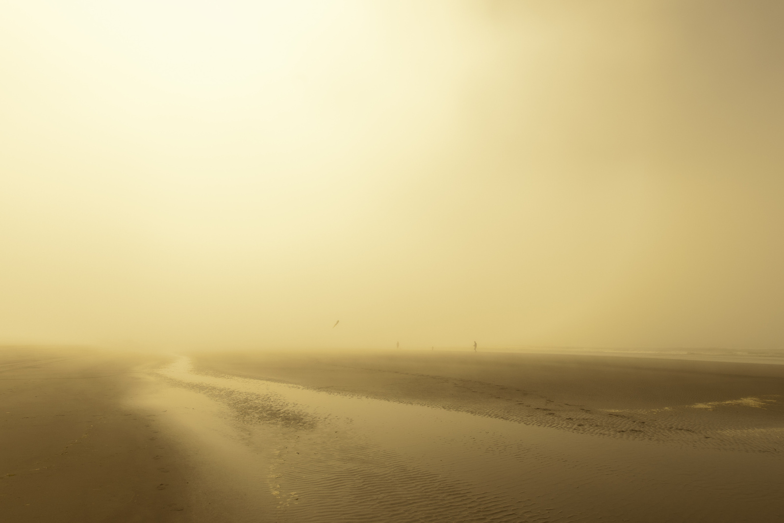 Warm foggy scene with distant people on the beach and diffuse light.