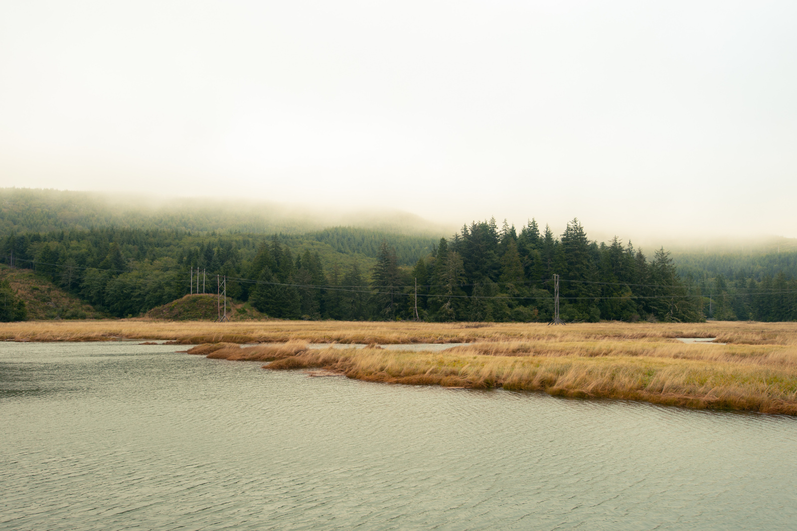 Cinematic photography shot of a foggy landscape with a river in the Pacific North West.