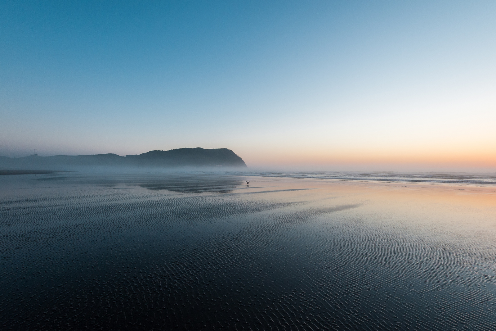 Abstract coastal landscape with clear sky at sunset in the Pacific North West.