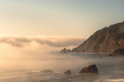 Cinematic photography shot of a foggy landscape by the ocean the Pacific North West.
