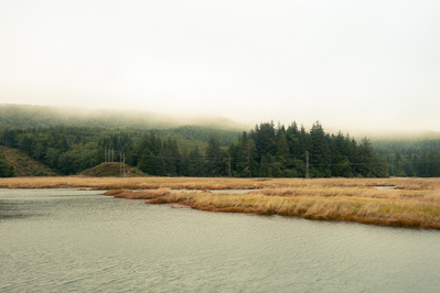 Cinematic shot of a foggy landscape with a small lake in the Pacific North West.