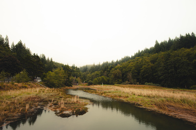 Cinematic shot of a foggy landscape with a small lake in the Pacific North West.