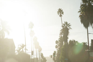 Bright photo of palm trees surrounding the Sunset Strip in Los Angeles, California.