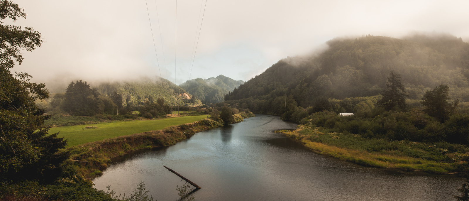 Cinematic photography shot of a foggy landscape with a river in the Pacific North West.