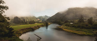 Cinematic photography shot of a foggy landscape with a river in the Pacific North West.