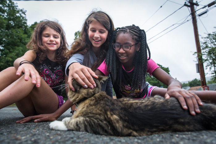 Allie Martin, 9, and her sister, Katie Martin, 12, pet their cat Sam in their street in front of their house with Brianna George, 11, of Fort Greene, Brooklyn, Saturday, July 9. Brianna spent a week with the Martins, arriving Friday, July 8, as she has ea