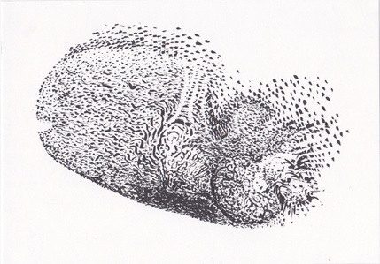 abstract ink drawing 