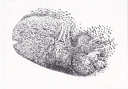 abstract ink drawing 