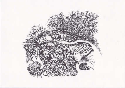 path by the birch trees ink drawing