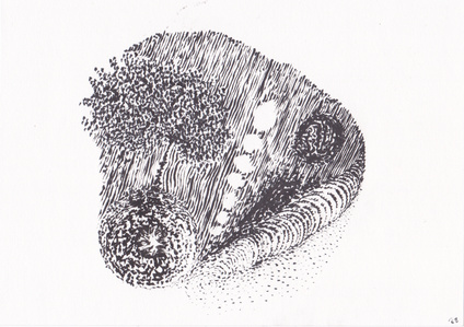 Cosmic tree ink drawing