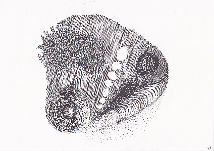 Cosmic tree ink drawing