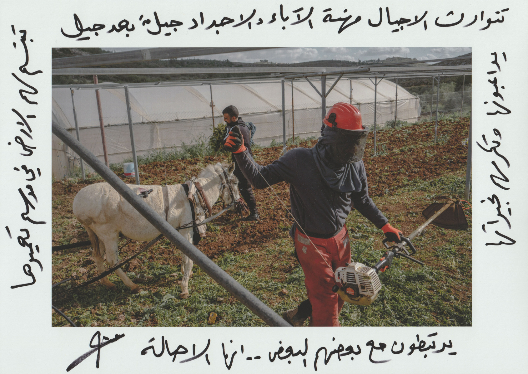 "Generation after generation, the legacy of their forefathers lives on as they inherit the profession of (farming). The land smiles upon them during its season of renewal. They nurture it with care, and it rewards them with its blessings. There is a deep