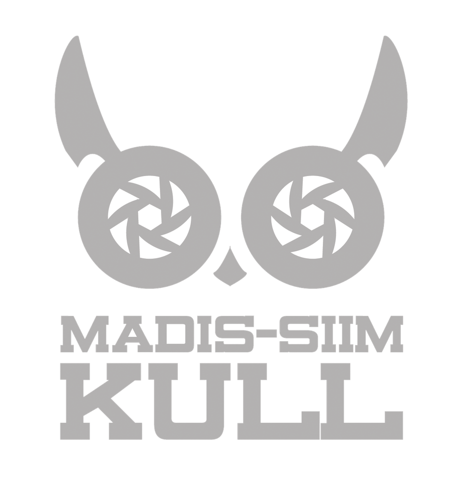 Madis   Siim Kull's Portfolio