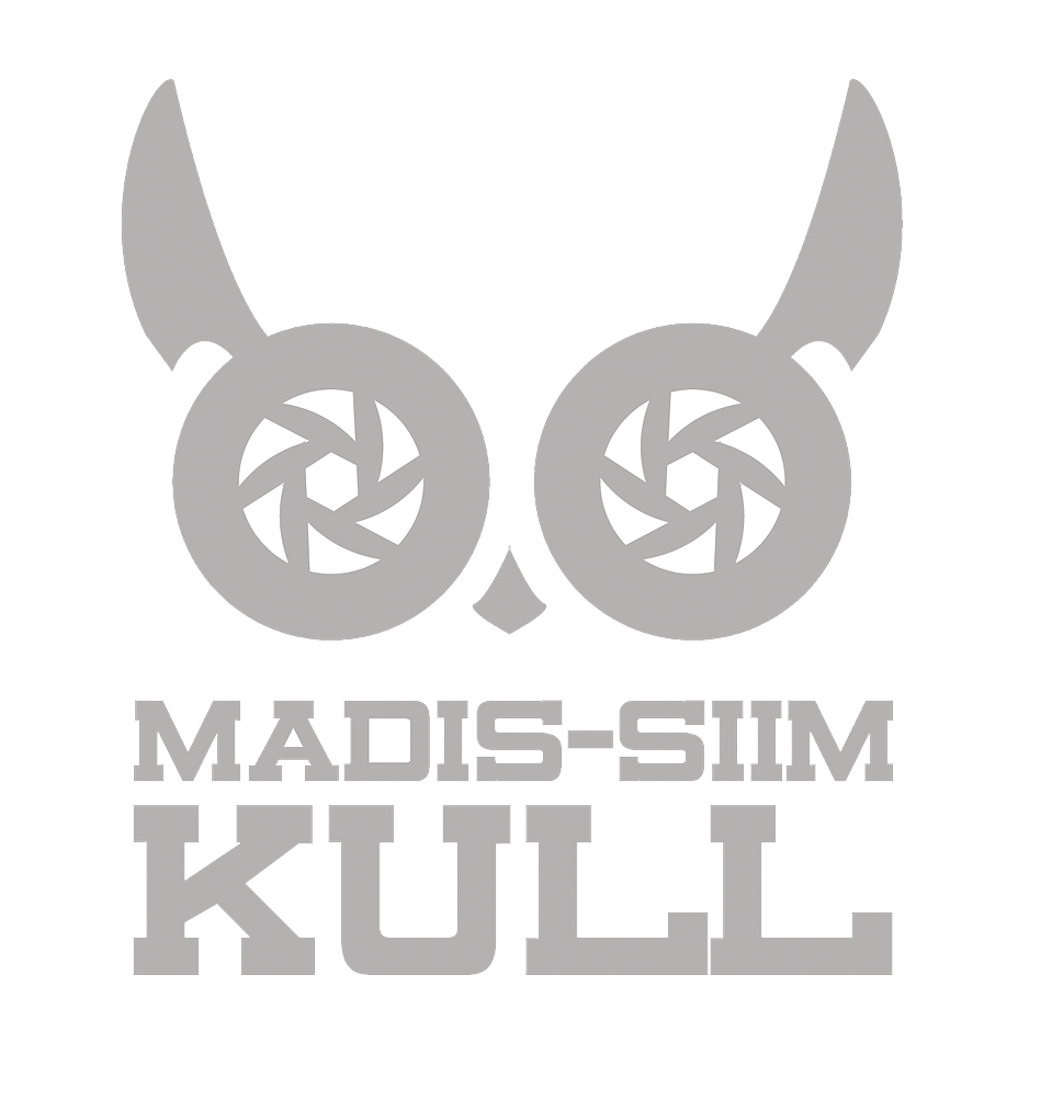 Madis   Siim Kull's Portfolio