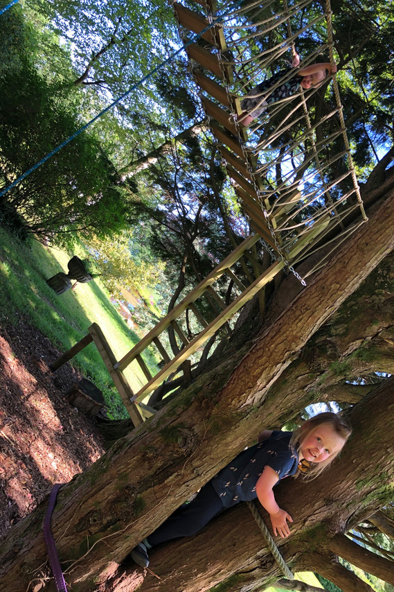 A treehouse sitting amongst trees on Dartmoor, Devon. Douglas Fir cladding, Chestnut balustrade & Cedar shingle roofing.