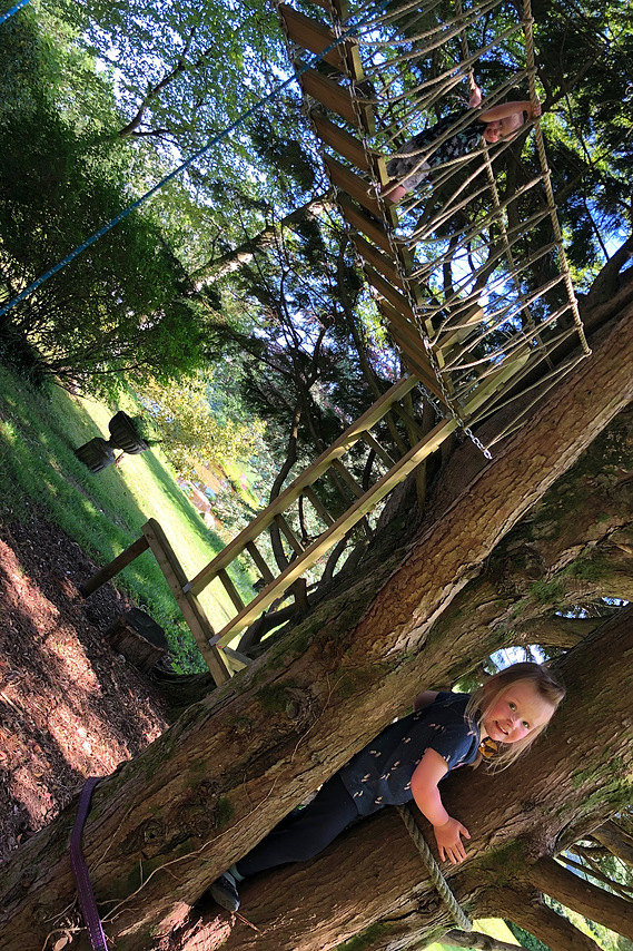 A treehouse sitting amongst trees on Dartmoor, Devon. Douglas Fir cladding, Chestnut balustrade & Cedar shingle roofing.