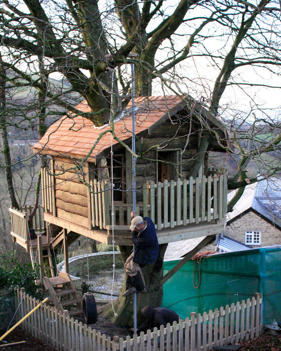 Ash tree house in Exeter, Devon 
