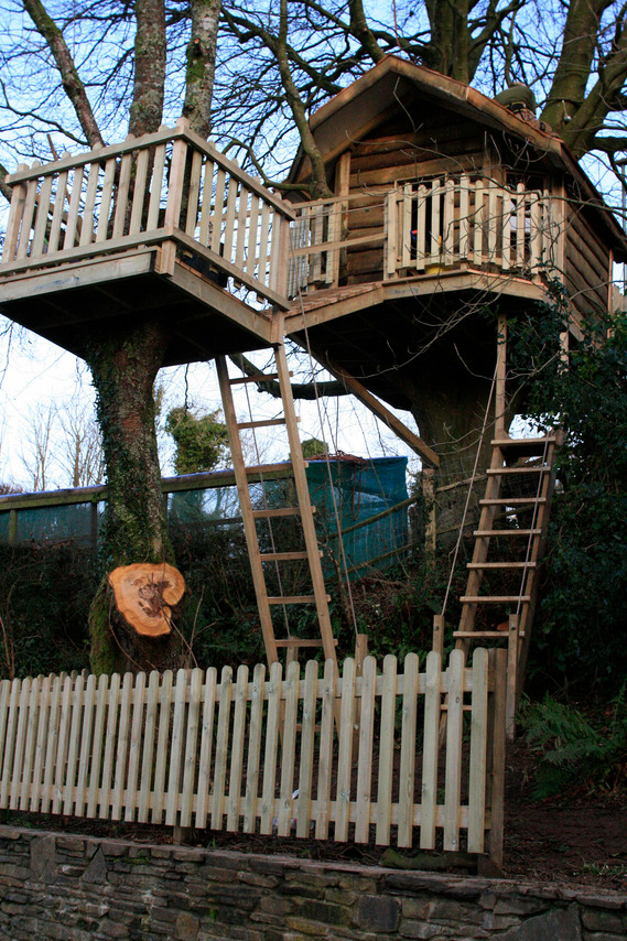 Ash tree house in Exeter, Devon 