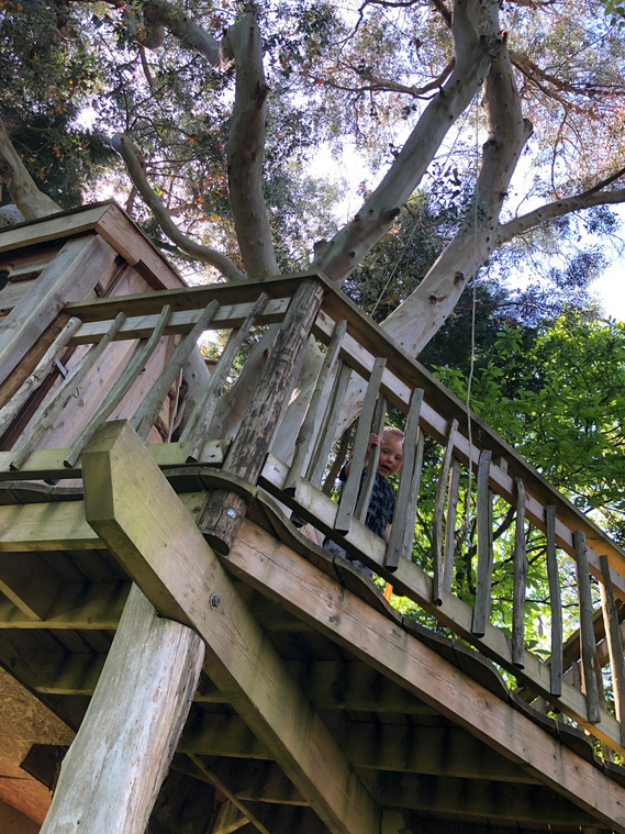 A treehouse sitting amongst trees on Dartmoor, Devon. Douglas Fir cladding, Chestnut balustrade & Cedar shingle roofing.