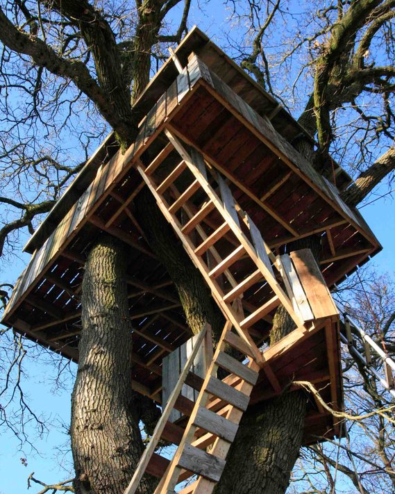 Image of Treehouse seen from the ground, showing detail of the stepladders