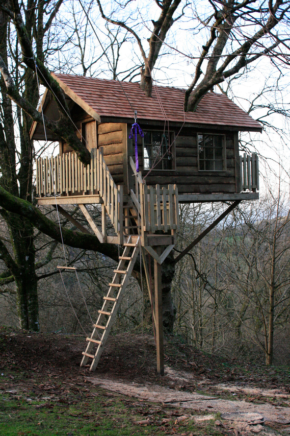 Treehousein a cherry tree in Devon. Douglas Fir 'waney' edge board and Cedar Shingle roof. Design and build by Seriously Good Landscapes