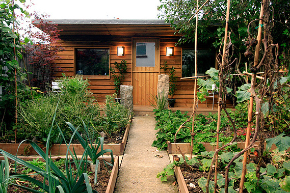 Work from home studio in a Devon garden with raised beds in the foreground. WFH Devon