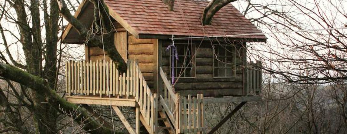 Treehouse in a cherry tree in Devon. Douglas Fir 'waney' edge board and Cedar Shingle roof. Design and build by Seriously Good Landscapes