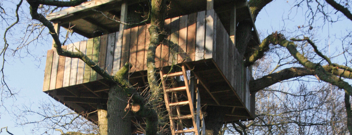 Treehouse in Crediton Devon made by Seriously Good Landscapes