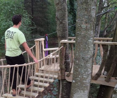 view over 'wobbly bridge' in Devon Woodland. Design and build by Seriously Good Landscapes