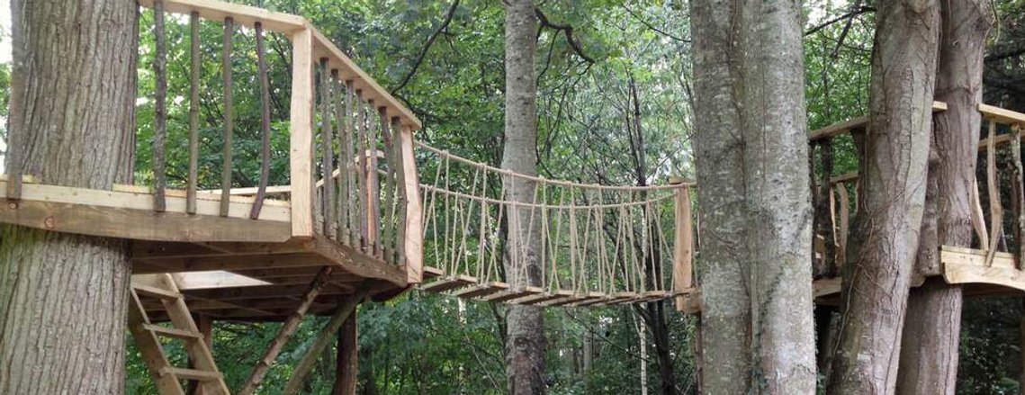 a ladder-accessed large octagonal decked platform that has sufficient space in order to build a concealed tree house within the circumference to allow for a balcony surround