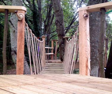 view over 'wobbly bridge' in Devon Woodland