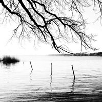 Spiegelglatt im Abendlicht liegt die Müritz.