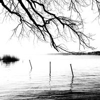 Spiegelglatt im Abendlicht liegt die Müritz.
