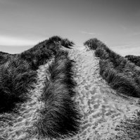 I will master this last hill before the beach.