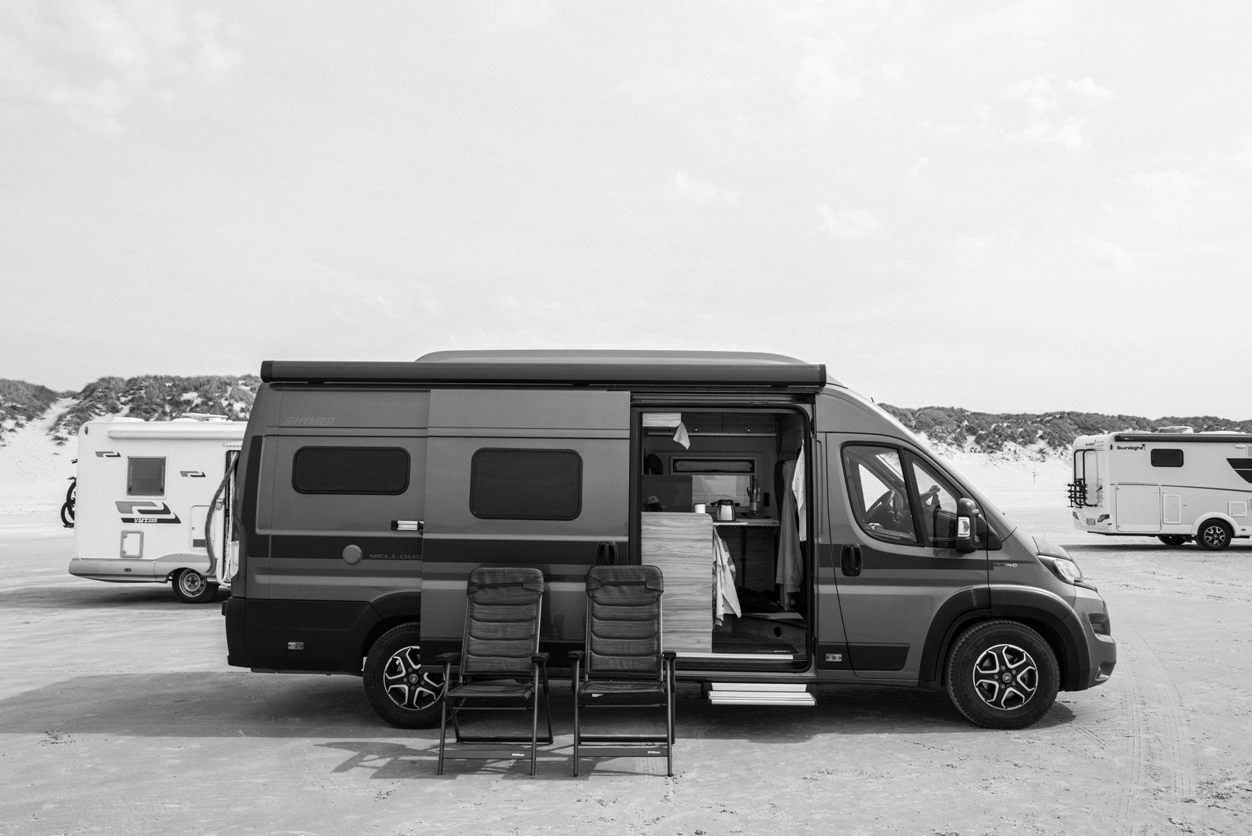 Cato on Vejers-Beach at Denmark.