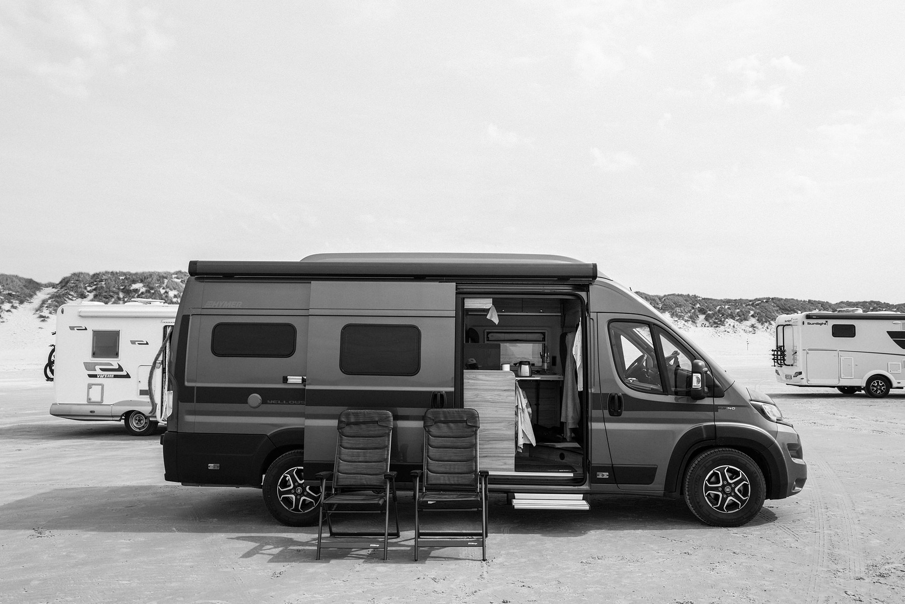 Cato on Vejers-Beach at Denmark.