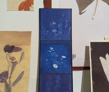 Detail of Still Life at Modern Fuel Artist-run Centre, autumn 2022.
