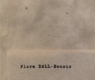 Detail of Still Life at Modern Fuel Artist-run Centre, autumn 2022. The text reads Flora DALL-Eensis, from a faked herbarium specimen created in part with DALL-E 2 AI.
