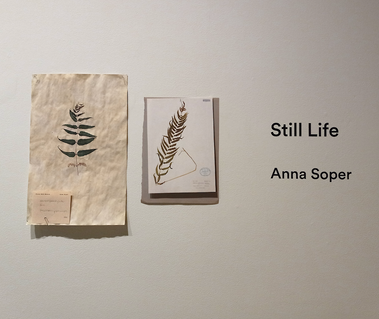 Installation view of Still Life at Modern Fuel Artist-run Centre, autumn 2022.