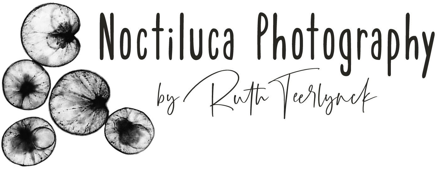 Noctiluca Photography