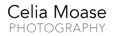 Tareau, by Celia Moase, fine art photography to gaze at nature, find presence and connect to the earth