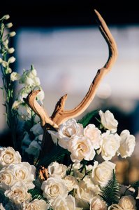 Goat Island Marina Rhode Island Wedding