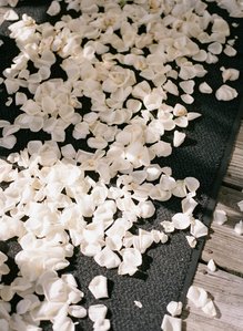 Goat Island Marina Rhode Island Wedding