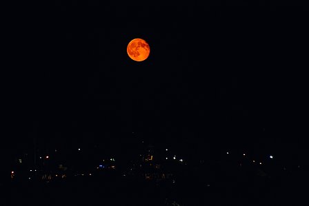 Blood Moon Goat Island Marina Rhode Island Wedding