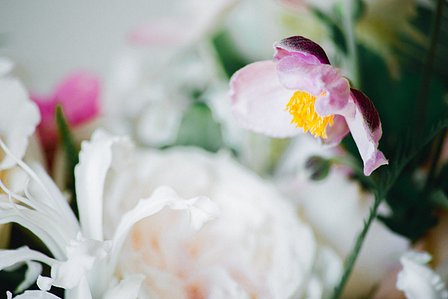 Newport Rhode Island Florist