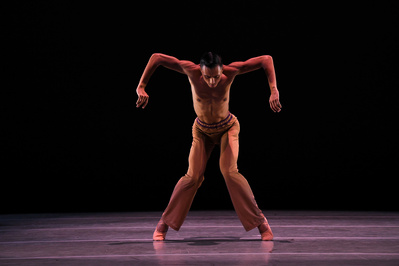 a contemporary dancer shirtless wearing brown pants dancing