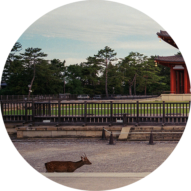 Xpan Jpan