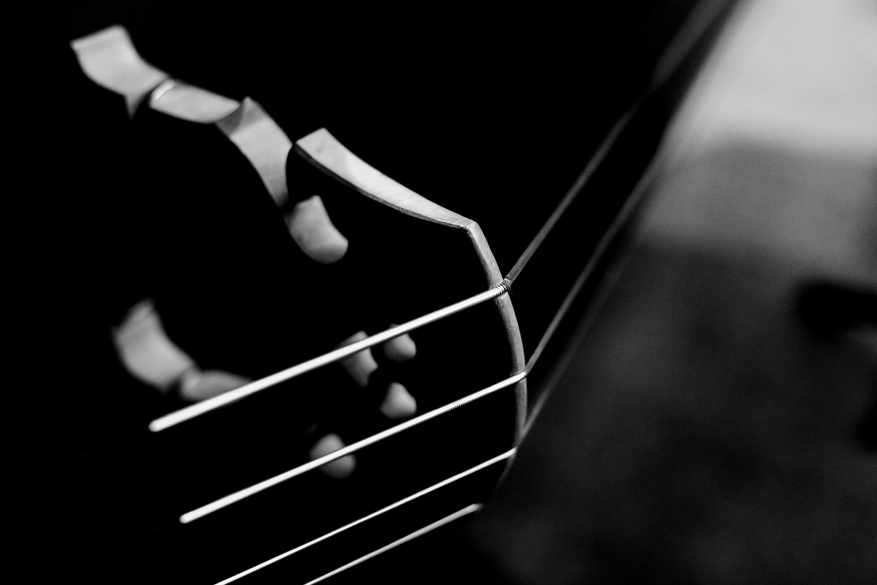 double bass strings close up