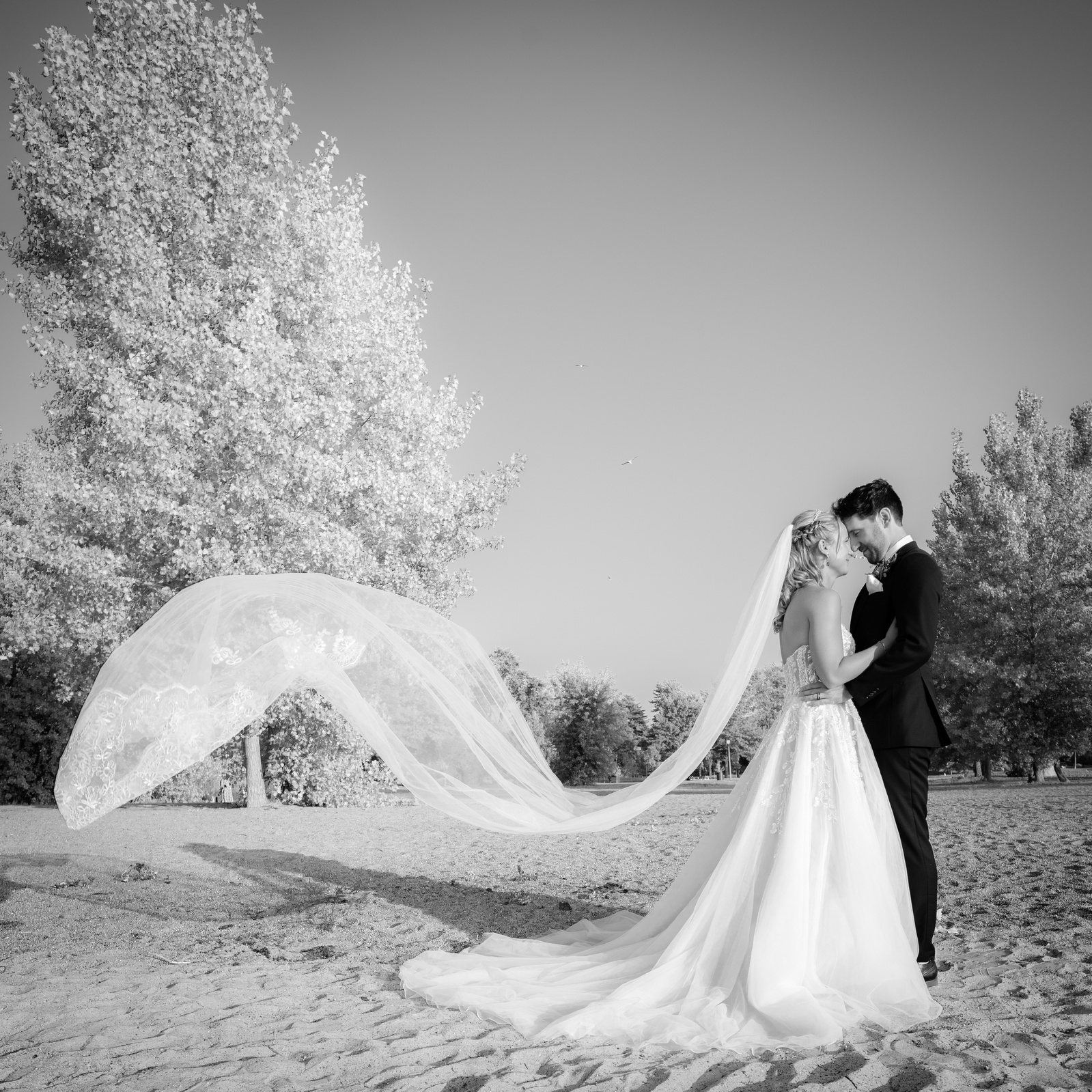 Britannia Beach Wedding couple in black and white by photographer Frank Fenn