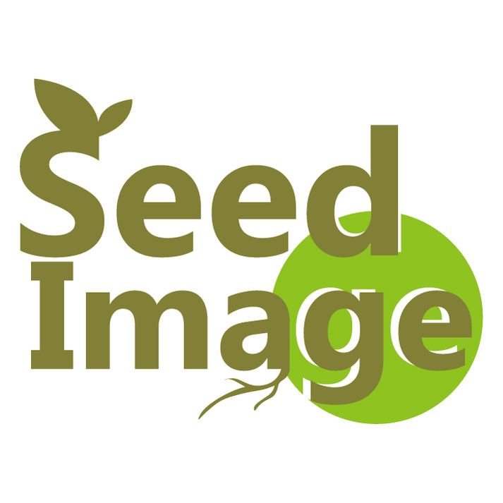Seed Image